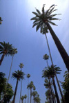 リフォームのトップサイトへ
